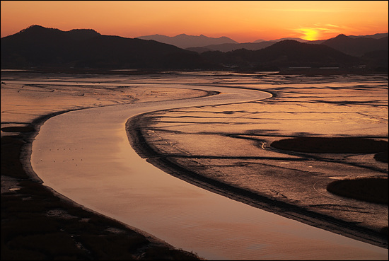 용산전망대에서 바라본 순천만 전경 